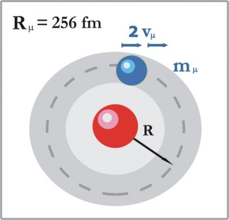 muon_atom_.jpg