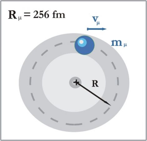 muon_porog_.jpg